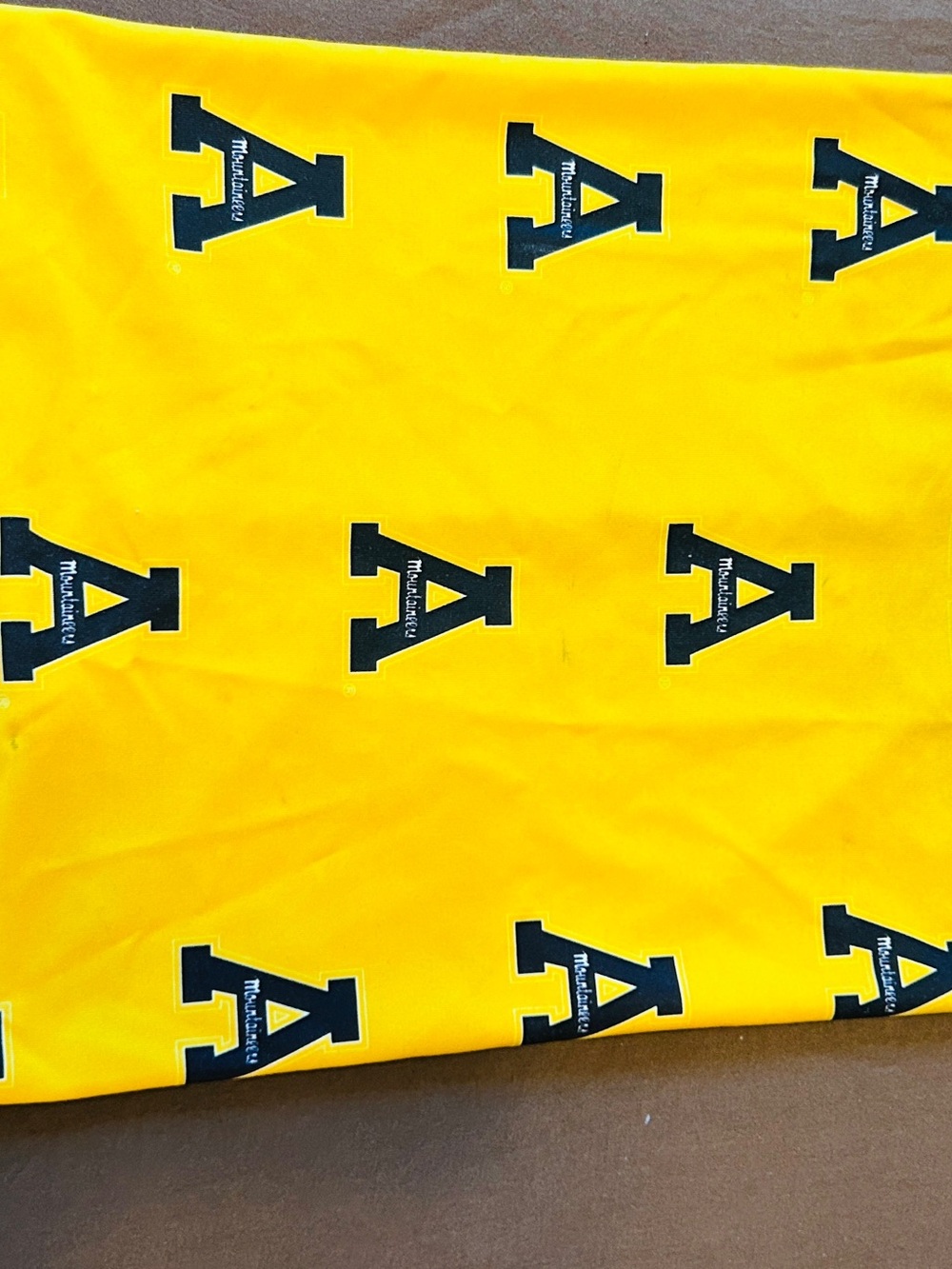 App State Face Cover for Snowboarding